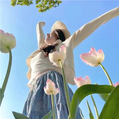 芝加哥警署第四季